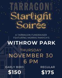 poster for Starlight Soiree Fundraiser